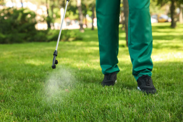 Best Commercial Pest Control Services  in Mount Angel, OR